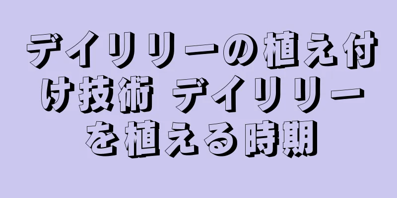 デイリリーの植え付け技術 デイリリーを植える時期