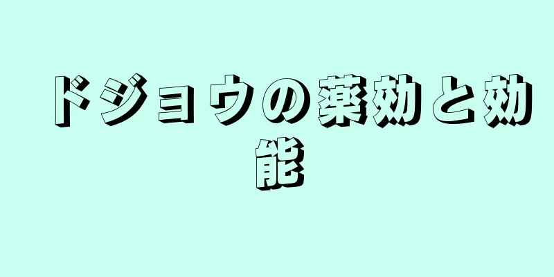 ドジョウの薬効と効能