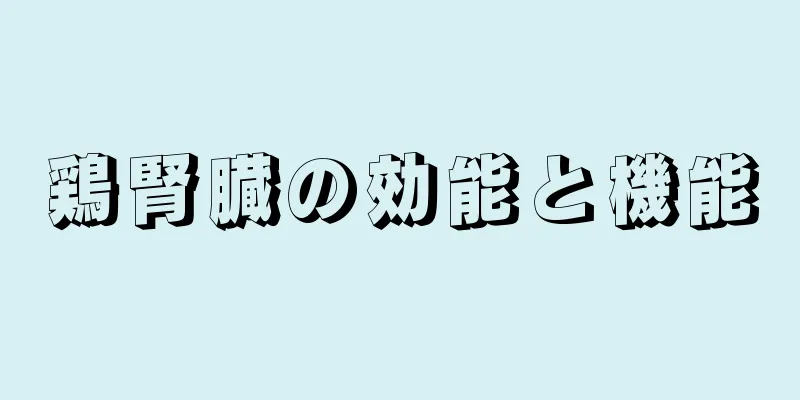 鶏腎臓の効能と機能