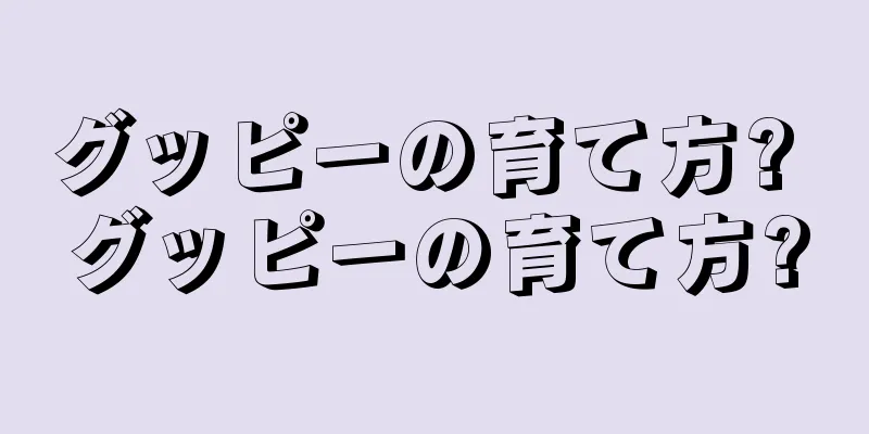 グッピーの育て方? グッピーの育て方?