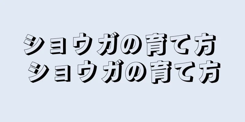 ショウガの育て方 ショウガの育て方