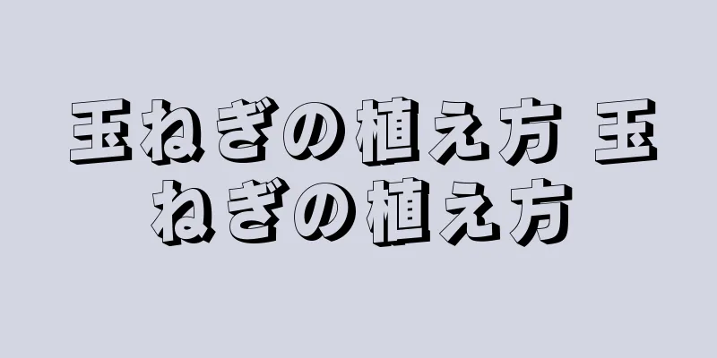 玉ねぎの植え方 玉ねぎの植え方