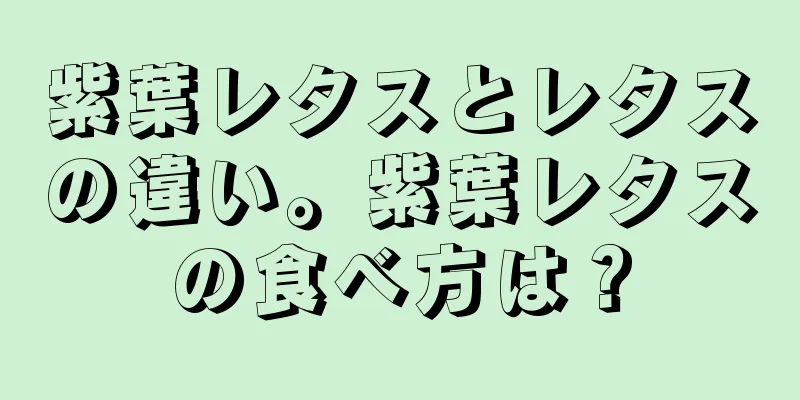 紫葉レタスとレタスの違い。紫葉レタスの食べ方は？