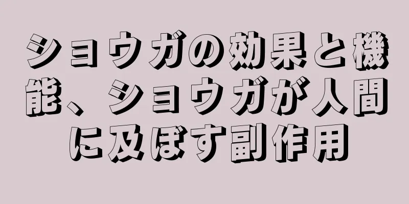 ショウガの効果と機能、ショウガが人間に及ぼす副作用
