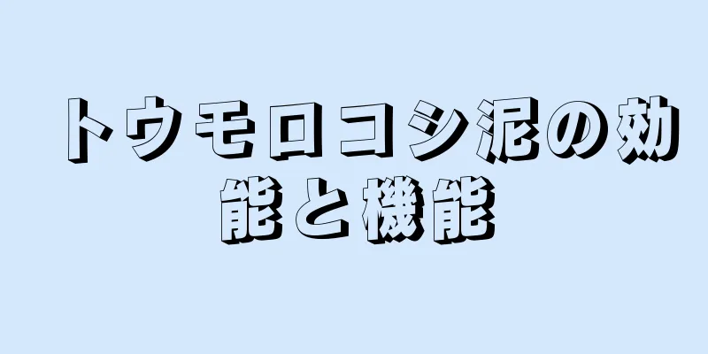 トウモロコシ泥の効能と機能