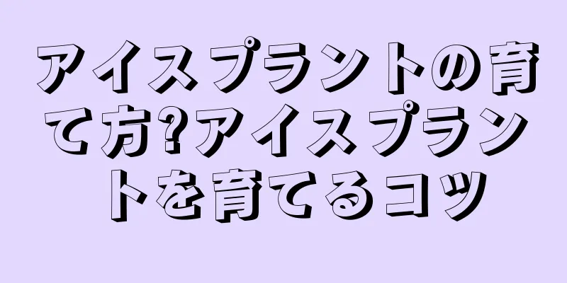 アイスプラントの育て方?アイスプラントを育てるコツ