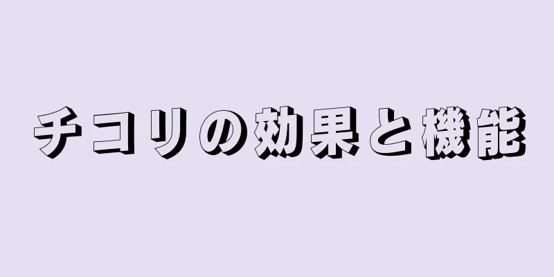 チコリの効果と機能