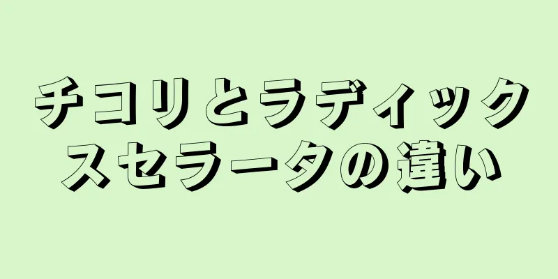 チコリとラディックスセラータの違い