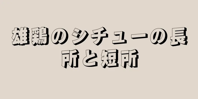 雄鶏のシチューの長所と短所