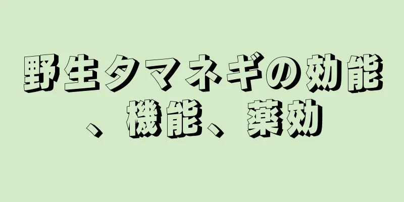 野生タマネギの効能、機能、薬効