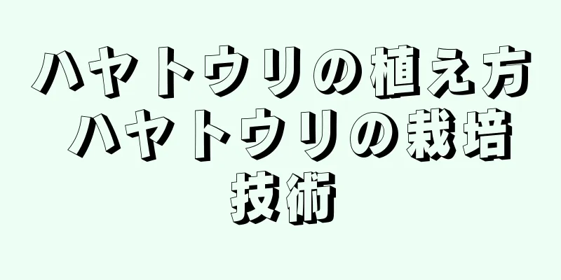 ハヤトウリの植え方 ハヤトウリの栽培技術