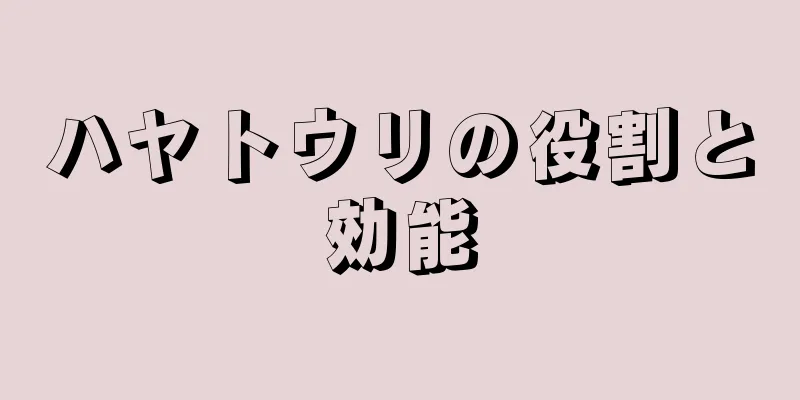 ハヤトウリの役割と効能