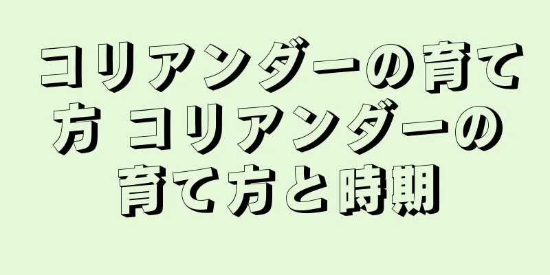 コリアンダーの育て方 コリアンダーの育て方と時期
