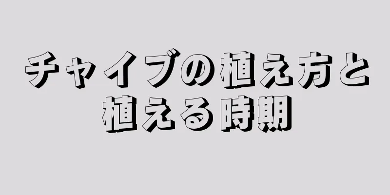 チャイブの植え方と植える時期