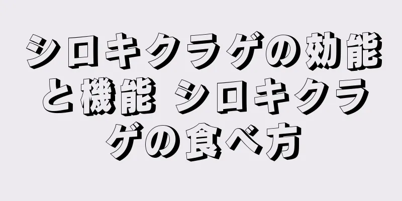 シロキクラゲの効能と機能 シロキクラゲの食べ方