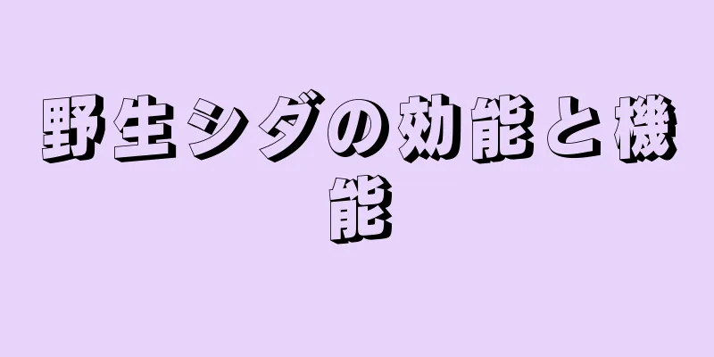 野生シダの効能と機能
