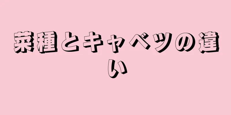 菜種とキャベツの違い