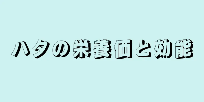 ハタの栄養価と効能