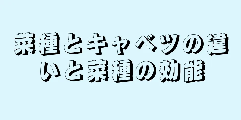 菜種とキャベツの違いと菜種の効能