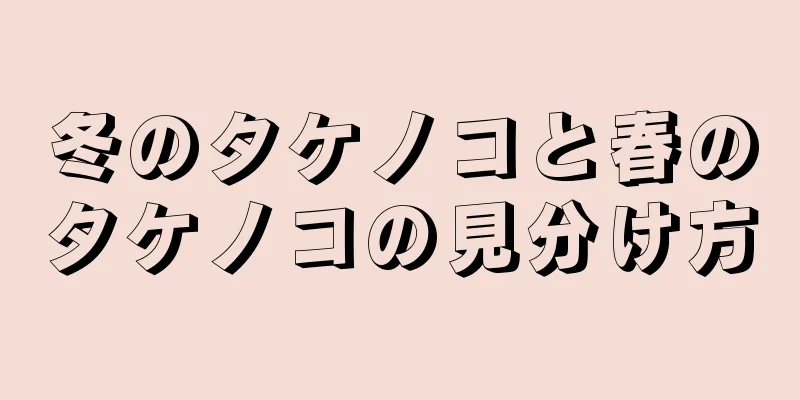冬のタケノコと春のタケノコの見分け方