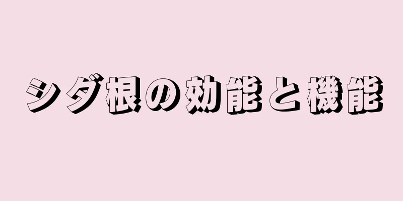 シダ根の効能と機能