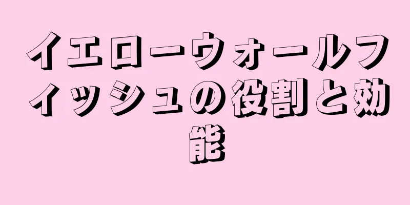 イエローウォールフィッシュの役割と効能
