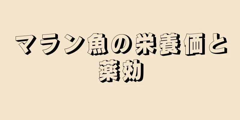 マラン魚の栄養価と薬効