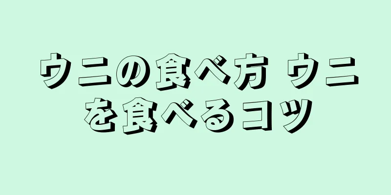 ウニの食べ方 ウニを食べるコツ