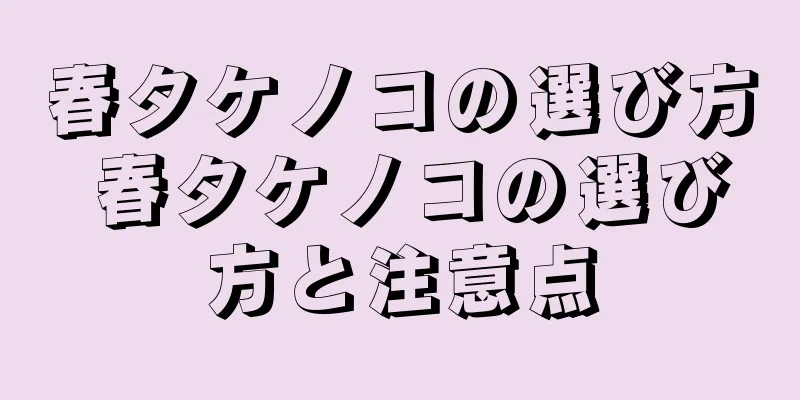 春タケノコの選び方 春タケノコの選び方と注意点