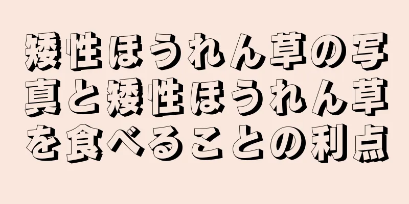 矮性ほうれん草の写真と矮性ほうれん草を食べることの利点