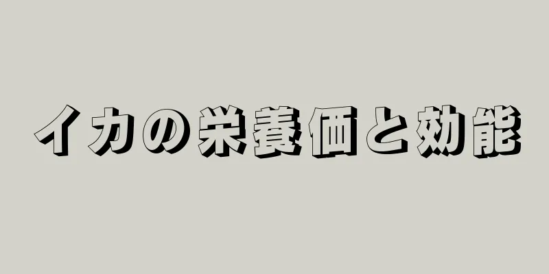 イカの栄養価と効能