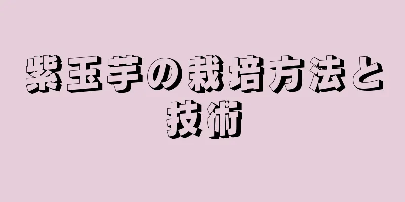 紫玉芋の栽培方法と技術