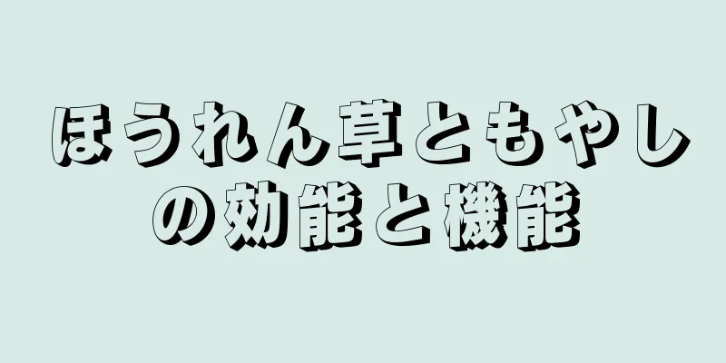 ほうれん草ともやしの効能と機能