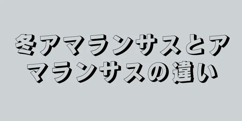 冬アマランサスとアマランサスの違い