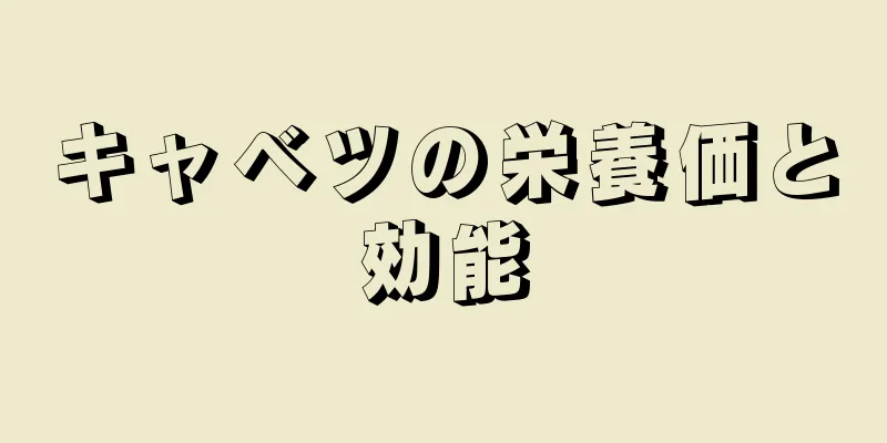 キャベツの栄養価と効能