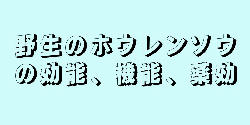 野生のホウレンソウの効能、機能、薬効