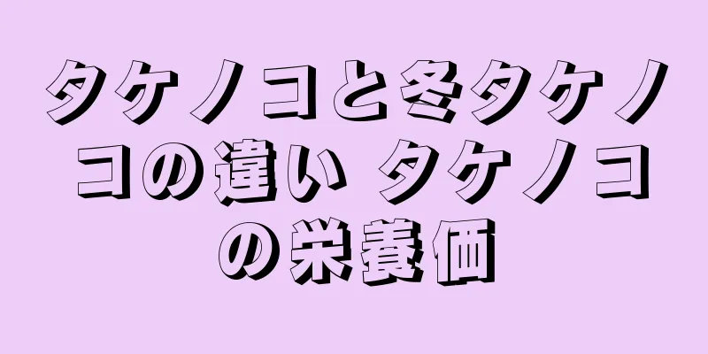 タケノコと冬タケノコの違い タケノコの栄養価