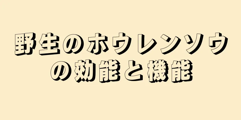 野生のホウレンソウの効能と機能