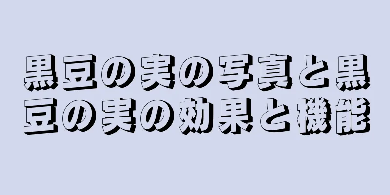 黒豆の実の写真と黒豆の実の効果と機能
