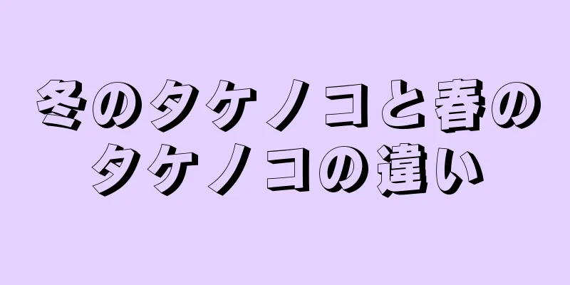 冬のタケノコと春のタケノコの違い