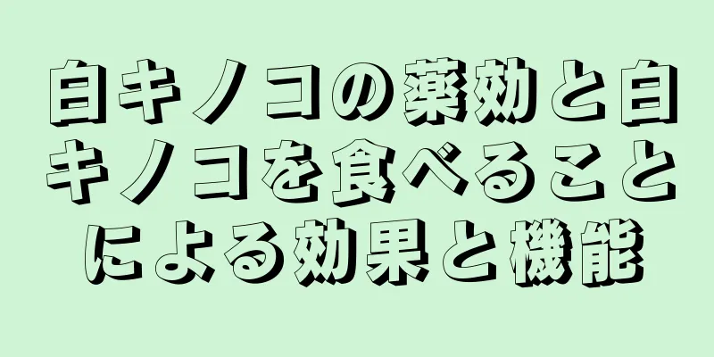 白キノコの薬効と白キノコを食べることによる効果と機能