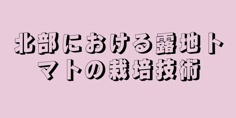北部における露地トマトの栽培技術