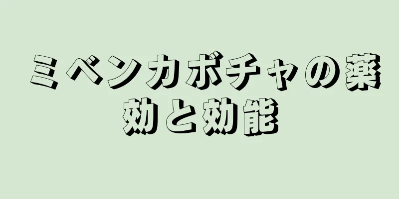 ミベンカボチャの薬効と効能