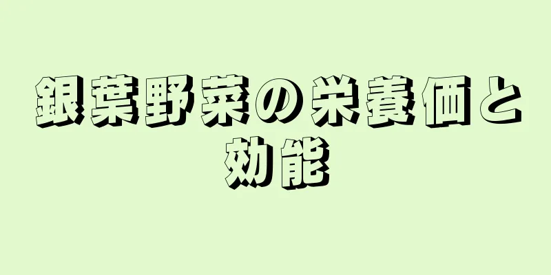 銀葉野菜の栄養価と効能