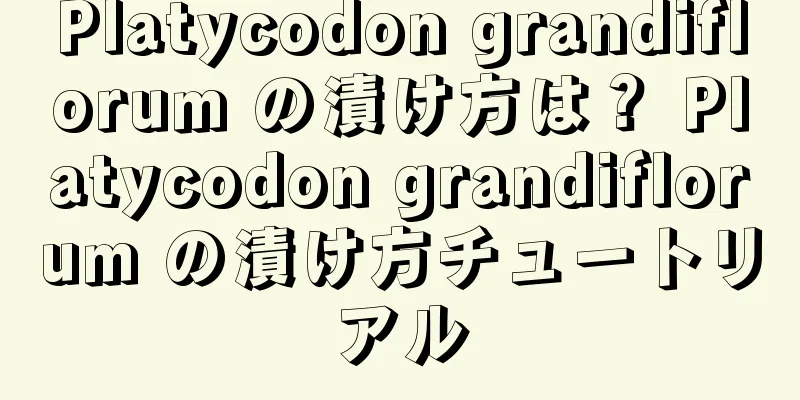 Platycodon grandiflorum の漬け方は？ Platycodon grandiflorum の漬け方チュートリアル