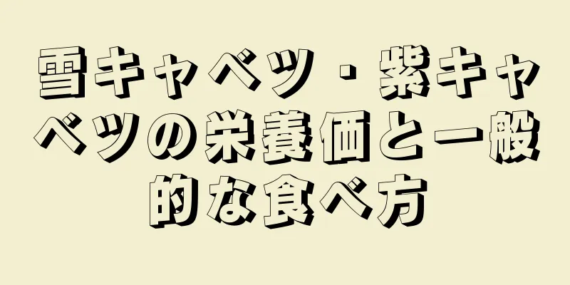 雪キャベツ・紫キャベツの栄養価と一般的な食べ方