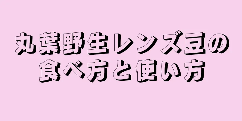 丸葉野生レンズ豆の食べ方と使い方