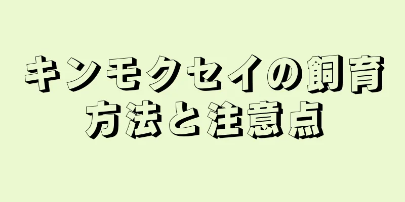 キンモクセイの飼育方法と注意点