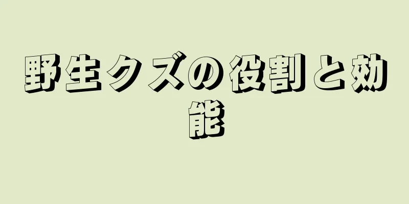 野生クズの役割と効能