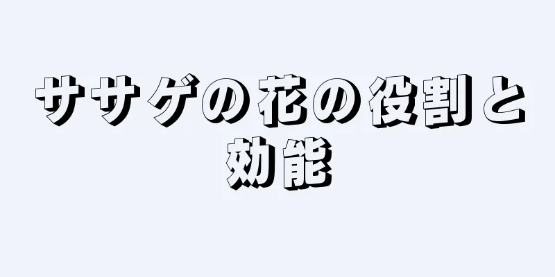 ササゲの花の役割と効能